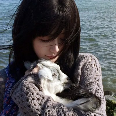 客人变成猪
