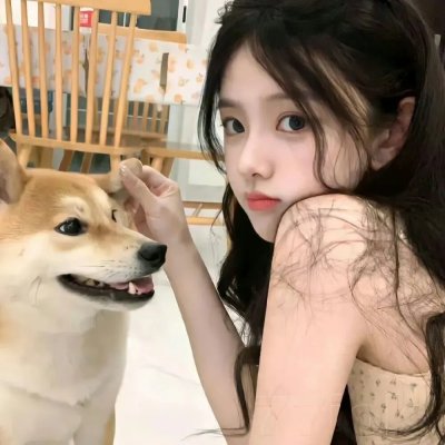星星守护犬